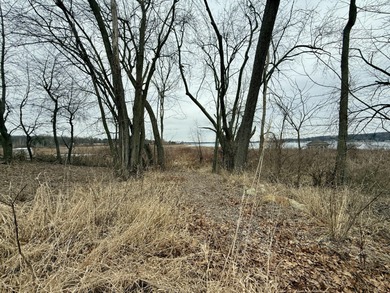 Discover Your Perfect Retreat on Duck Lake! Unlock the potential on Duck Lake Country Club in Michigan - for sale on GolfHomes.com, golf home, golf lot