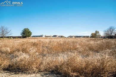 Check out this awesome property located at 231 Palmer Lake on Desert Hawk At Pueblo West in Colorado - for sale on GolfHomes.com, golf home, golf lot