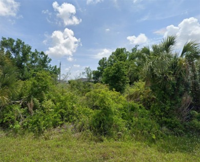 Endless possibilities on Claremont Drive! Ideally situated in on Duffys Golf Center in Florida - for sale on GolfHomes.com, golf home, golf lot