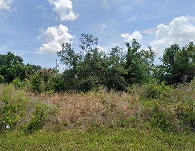 Endless possibilities on Claremont Drive! Ideally situated in on Duffys Golf Center in Florida - for sale on GolfHomes.com, golf home, golf lot