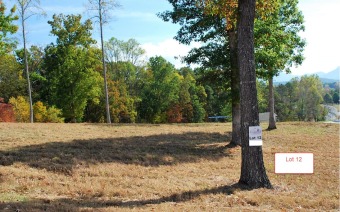 Premium Mountain home sites on 1 or more acres, each with views on Chatuge Shores Golf Course in North Carolina - for sale on GolfHomes.com, golf home, golf lot