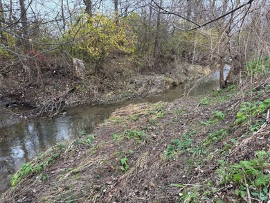 Discover the perfect blend of space, scenery and lifestyle on on Snow Hill Country Club in Ohio - for sale on GolfHomes.com, golf home, golf lot