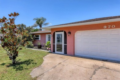 Flamingo house. Charming Floridian home, meticulously maintained on Jacaranda West Country Club in Florida - for sale on GolfHomes.com, golf home, golf lot