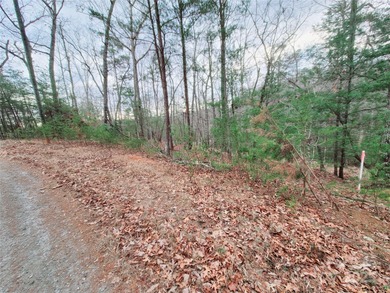 Tucked inside the gated community of Riverbend at Lake Lure on Lake Lure Municipal Golf Course in North Carolina - for sale on GolfHomes.com, golf home, golf lot