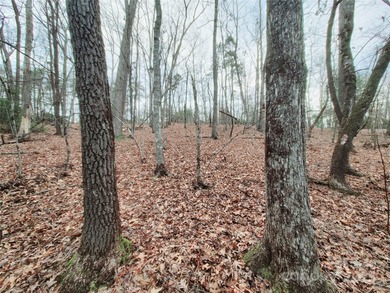 Tucked inside the gated community of Riverbend at Lake Lure on Lake Lure Municipal Golf Course in North Carolina - for sale on GolfHomes.com, golf home, golf lot