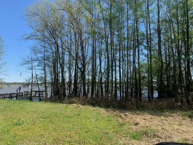 Waterfront, cleared, gentle sloping Residential Lot on Lake Mario on Santee National Golf Course in South Carolina - for sale on GolfHomes.com, golf home, golf lot