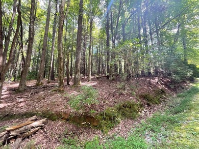 This great lot in Connestee Falls offers easy building on a on Connestee Falls Golf Club in North Carolina - for sale on GolfHomes.com, golf home, golf lot