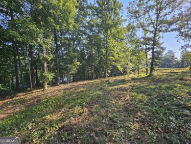 Discover the perfect setting for your future home at 255 on Currahee Golf Club in Georgia - for sale on GolfHomes.com, golf home, golf lot