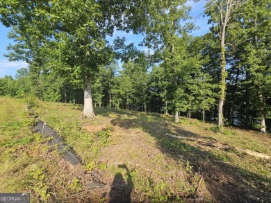 Discover the perfect setting for your future home at 255 on Currahee Golf Club in Georgia - for sale on GolfHomes.com, golf home, golf lot