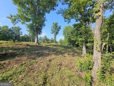 Discover the perfect setting for your future home at 255 on Currahee Golf Club in Georgia - for sale on GolfHomes.com, golf home, golf lot