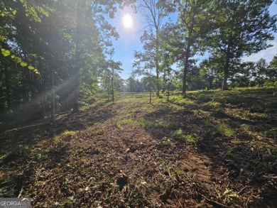 Discover the perfect setting for your future home at 255 on Currahee Golf Club in Georgia - for sale on GolfHomes.com, golf home, golf lot