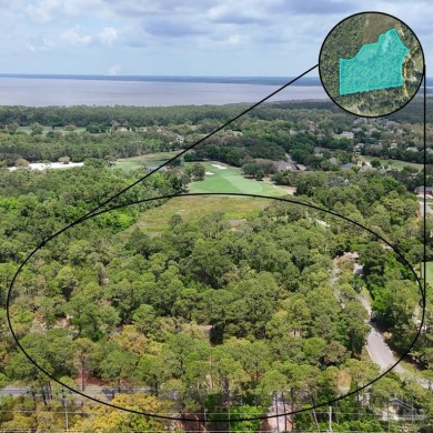 Welcome to the Villas on Peninsula Marsh, a prestigious enclave on Peninsula Golf and Racquet Club in Alabama - for sale on GolfHomes.com, golf home, golf lot