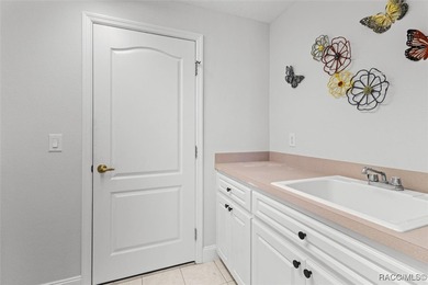 Golf Course View Home in Terra Vista - Modern Elegance & on Skyview At Terra Vista Golf and Country Club in Florida - for sale on GolfHomes.com, golf home, golf lot