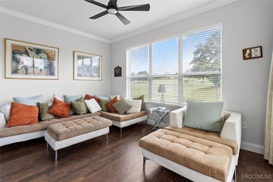 Golf Course View Home in Terra Vista - Modern Elegance & on Skyview At Terra Vista Golf and Country Club in Florida - for sale on GolfHomes.com, golf home, golf lot