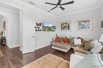 Golf Course View Home in Terra Vista - Modern Elegance & on Skyview At Terra Vista Golf and Country Club in Florida - for sale on GolfHomes.com, golf home, golf lot