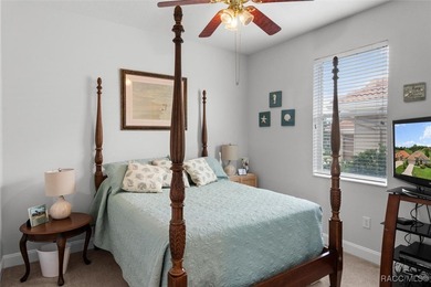 Golf Course View Home in Terra Vista - Modern Elegance & on Skyview At Terra Vista Golf and Country Club in Florida - for sale on GolfHomes.com, golf home, golf lot