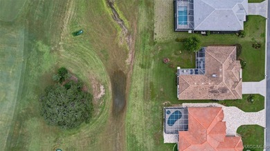 Golf Course View Home in Terra Vista - Modern Elegance & on Skyview At Terra Vista Golf and Country Club in Florida - for sale on GolfHomes.com, golf home, golf lot