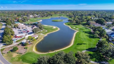 Welcome to your dream home in the heart of Timber Pines Golfing on Timber Pines Golf Course in Florida - for sale on GolfHomes.com, golf home, golf lot