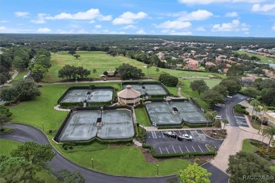 Golf Course View Home in Terra Vista - Modern Elegance & on Skyview At Terra Vista Golf and Country Club in Florida - for sale on GolfHomes.com, golf home, golf lot