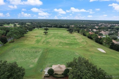 Golf Course View Home in Terra Vista - Modern Elegance & on Skyview At Terra Vista Golf and Country Club in Florida - for sale on GolfHomes.com, golf home, golf lot
