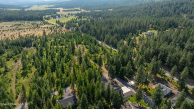 Modern Craftsman-style home offering 1,993 sq ft of single-level on Stoneridge Golf Club in Idaho - for sale on GolfHomes.com, golf home, golf lot