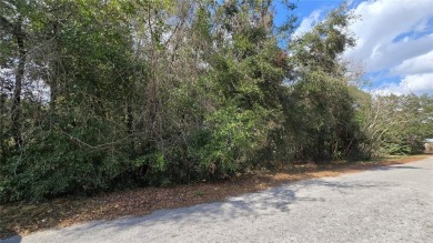 Price Improvement! Embrace the Florida lifestyle with this on Eagle Ridge At Spruce Creek Country Club in Florida - for sale on GolfHomes.com, golf home, golf lot