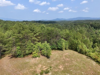 Embrace the beauty of Tennessee mountain living on 27.28 acres on Copper Basin Golf Club in Tennessee - for sale on GolfHomes.com, golf home, golf lot