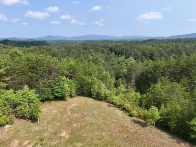 Embrace the beauty of Tennessee mountain living on 27.28 acres on Copper Basin Golf Club in Tennessee - for sale on GolfHomes.com, golf home, golf lot