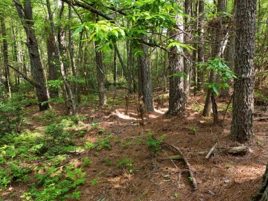 Embrace the beauty of Tennessee mountain living on 27.28 acres on Copper Basin Golf Club in Tennessee - for sale on GolfHomes.com, golf home, golf lot