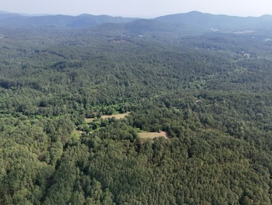 Embrace the beauty of Tennessee mountain living on 27.28 acres on Copper Basin Golf Club in Tennessee - for sale on GolfHomes.com, golf home, golf lot