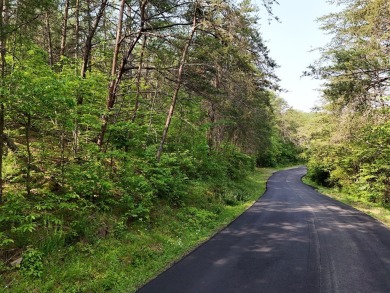 Embrace the beauty of Tennessee mountain living on 27.28 acres on Copper Basin Golf Club in Tennessee - for sale on GolfHomes.com, golf home, golf lot