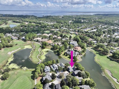Welcome to Sea Turtle Cottage on Laurel Point, the pinnacle of on Sandestin Golf and Beach Resort - Raven in Florida - for sale on GolfHomes.com, golf home, golf lot