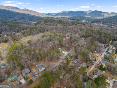 Nestled discreetly amid the pines, 9 Golf Drive, a corner lot on Rabun Golf Club in Georgia - for sale on GolfHomes.com, golf home, golf lot