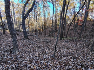 Ready To Build. Level 3 Soil Tests complete. Site Plan and on Big Canoe Golf Club - Cherokee in Georgia - for sale on GolfHomes.com, golf home, golf lot