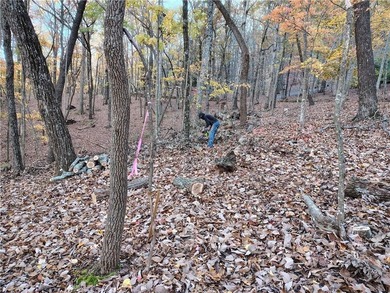 Ready To Build. Level 3 Soil Tests complete. Site Plan and on Big Canoe Golf Club - Cherokee in Georgia - for sale on GolfHomes.com, golf home, golf lot