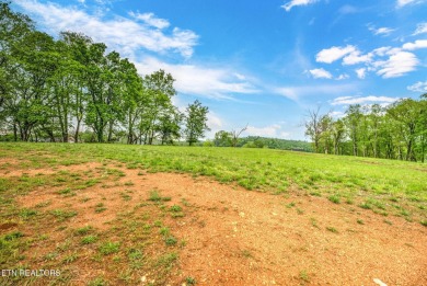 Experience luxurious living in one of the most prestigious golf on Tennessee National Golf Club in Tennessee - for sale on GolfHomes.com, golf home, golf lot