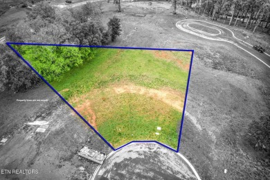 Experience luxurious living in one of the most prestigious golf on Tennessee National Golf Club in Tennessee - for sale on GolfHomes.com, golf home, golf lot