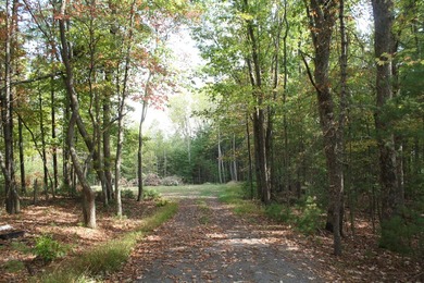 Lot 44 - 3.12 Acres Located in Pipestem Pointe. Pipestem Pointe on Pipestem Golf Club - Regulation in West Virginia - for sale on GolfHomes.com, golf home, golf lot