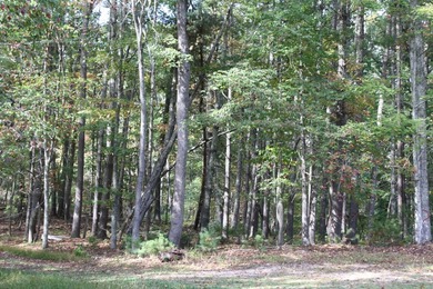 Lot 44 - 3.12 Acres Located in Pipestem Pointe. Pipestem Pointe on Pipestem Golf Club - Regulation in West Virginia - for sale on GolfHomes.com, golf home, golf lot