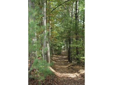 Lot 44 - 3.12 Acres Located in Pipestem Pointe. Pipestem Pointe on Pipestem Golf Club - Regulation in West Virginia - for sale on GolfHomes.com, golf home, golf lot