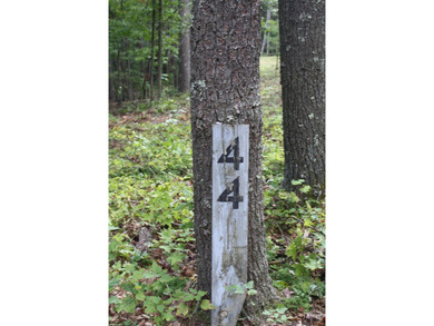 Lot 44 - 3.12 Acres Located in Pipestem Pointe. Pipestem Pointe on Pipestem Golf Club - Regulation in West Virginia - for sale on GolfHomes.com, golf home, golf lot