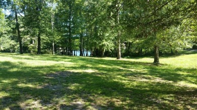 DREAM HOMESITE ON LAKE MARION COVE. FISH FROM YOUR OWN DOCK. 1 on Santee-Cooper Country Club in South Carolina - for sale on GolfHomes.com, golf home, golf lot
