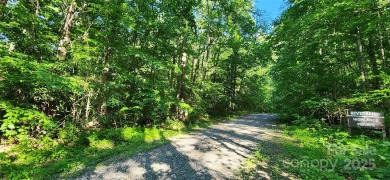 Welcome to this hidden gem in the Lake Lure, NC Mountains! Lot on Rumbling Bald Resort on Lake Lure in North Carolina - for sale on GolfHomes.com, golf home, golf lot