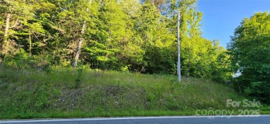 Welcome to this hidden gem in the Lake Lure, NC Mountains! Lot on Rumbling Bald Resort on Lake Lure in North Carolina - for sale on GolfHomes.com, golf home, golf lot