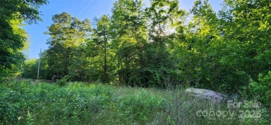 Welcome to this hidden gem in the Lake Lure, NC Mountains! Lot on Rumbling Bald Resort on Lake Lure in North Carolina - for sale on GolfHomes.com, golf home, golf lot