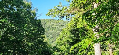 Welcome to this hidden gem in the Lake Lure, NC Mountains! Lot on Rumbling Bald Resort on Lake Lure in North Carolina - for sale on GolfHomes.com, golf home, golf lot