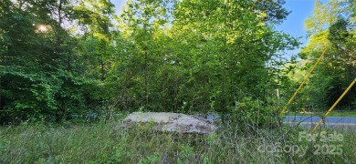 Welcome to this hidden gem in the Lake Lure, NC Mountains! Lot on Rumbling Bald Resort on Lake Lure in North Carolina - for sale on GolfHomes.com, golf home, golf lot