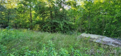Welcome to this hidden gem in the Lake Lure, NC Mountains! Lot on Rumbling Bald Resort on Lake Lure in North Carolina - for sale on GolfHomes.com, golf home, golf lot