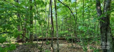 Welcome to this hidden gem in the Lake Lure, NC Mountains! Lot on Rumbling Bald Resort on Lake Lure in North Carolina - for sale on GolfHomes.com, golf home, golf lot