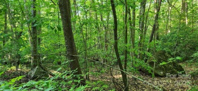 Welcome to this hidden gem in the Lake Lure, NC Mountains! Lot on Rumbling Bald Resort on Lake Lure in North Carolina - for sale on GolfHomes.com, golf home, golf lot